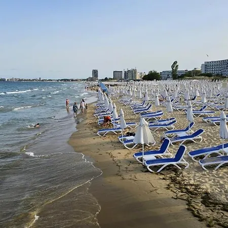 Dream In Sunny Kosharitsa