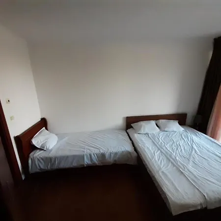 Dream With Car In Sunny Apartment