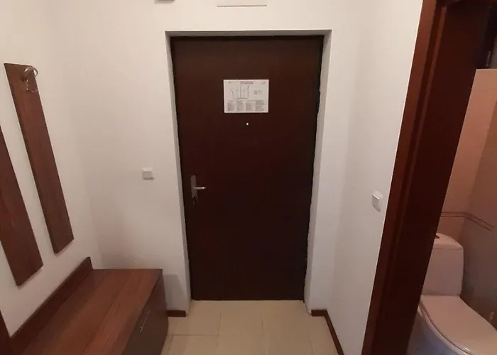 Apartment Dream In Sunny