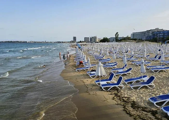 Dream In Sunny Kosharitsa